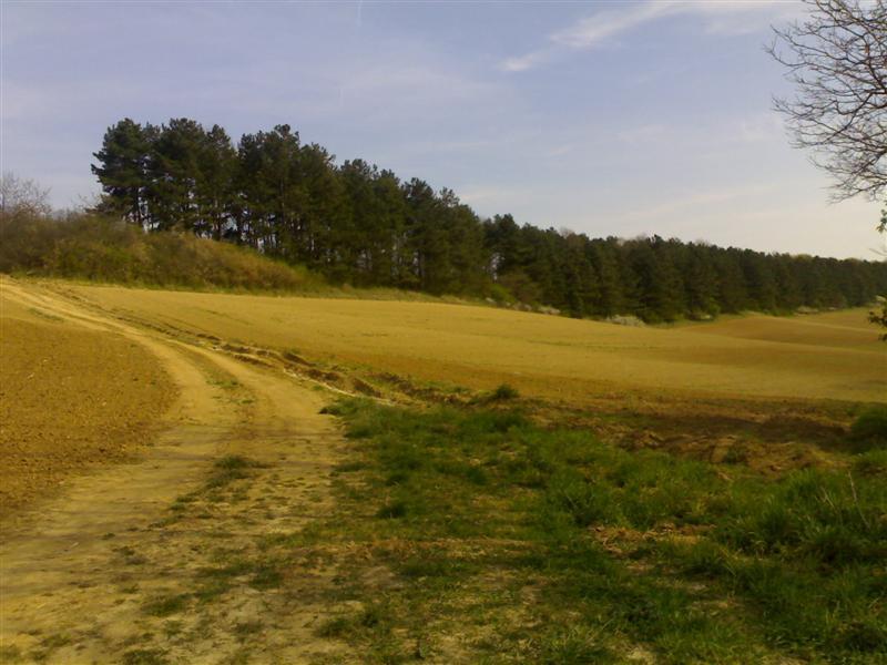 200704091690 .jpg